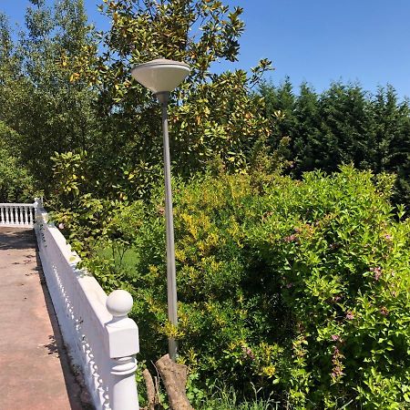 奥维耶多La Casona De La Carbayeda别墅 外观 照片