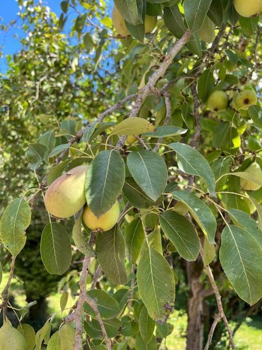 奥维耶多La Casona De La Carbayeda别墅 外观 照片